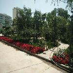 �ɼ�ɽ�ֳ��羰