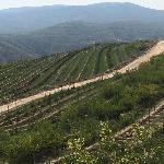 �ɼ�ɽ�ֳ��羰